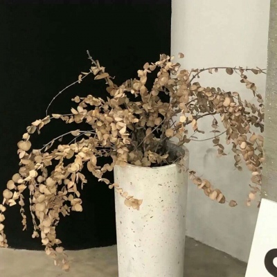 新乡FurryQQ群介绍